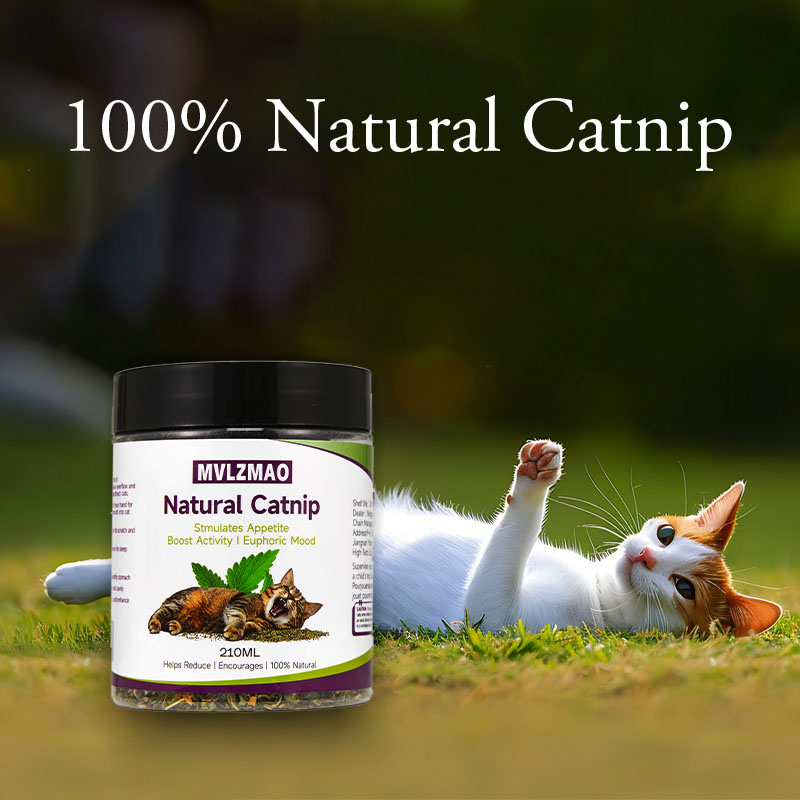 ของเล่นแมว - Silvervine Catnip - Herbal Wellness Products บทวิจารณ์และราคา