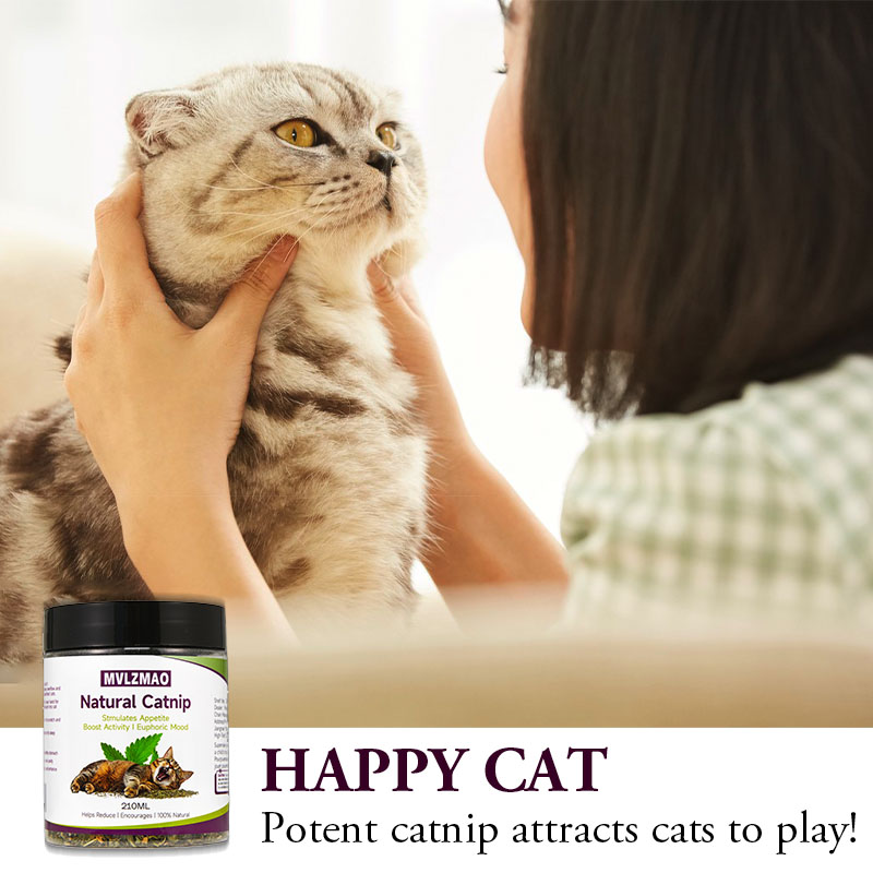 ของเล่นแมว - Silvervine Catnip - Herbal Wellness Products บทวิจารณ์และราคา